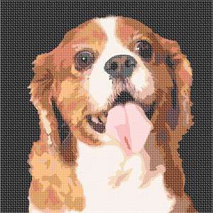 image of Cavalier King Charles Spaniel 2