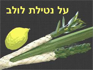 image of Al Netilas Lulav