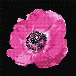 image of Anemone 