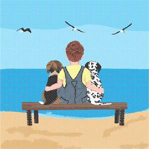 image of Beach Boy Dogs