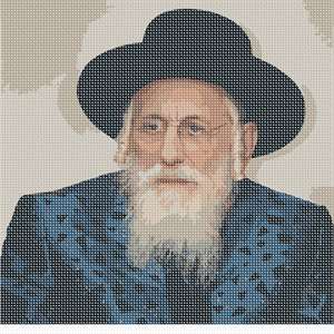 image of Bobover Rav