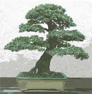 A small, shaped tree, carefully cultivated over many years. Bonsai is a Japanese art form using miniature trees.
