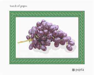 Juicy purple globules of fruit in a green twisted-rope frame.