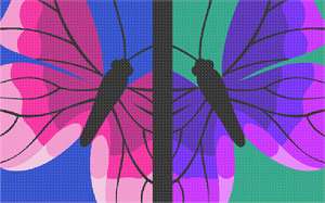 image of Butterfly Art Duo