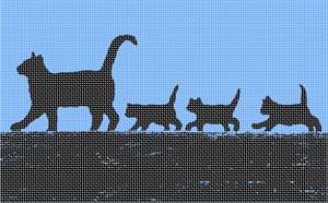 image of Cats In Line