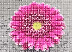 image of Chrysanthemum Flower