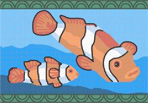 image of Clownfish