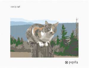 image of Coca Cat