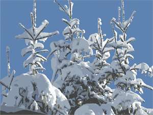 image of Covered In Snow