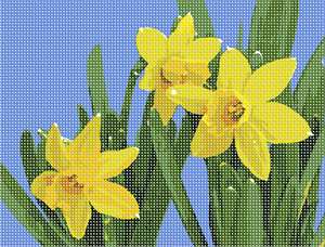 Daffodils mean spring is here.  In yellow, they are spectacular.  They are one of the first spring flowers to emerge. Sometimes they can be seen peeking through the snow on the ground. They make everyone smile. Flowers and floral design are among the most popular needlepoint designs. People have been stitching flowers and floral motifs for hundreds of years.  Flowers are bright and pleasant, and most have underlying meanings to them.