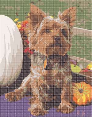 image of Dog With Pumpkins