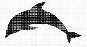 image of Dolphin Shape