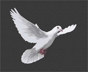 image of Dove In Flight