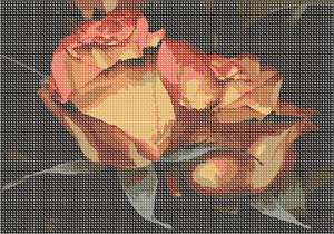 image of Dried Roses