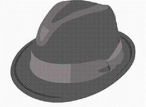 image of Fedora