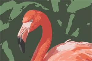 A flaming flamingo