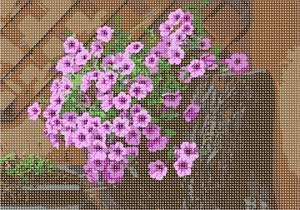 Flowers blooming just in time for spring