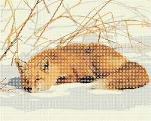 image of Fox Resting