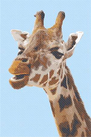 image of Giraffe Up Close
