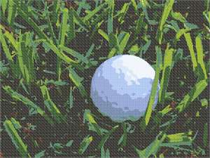 A golf ball hidden in the grass.