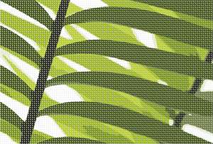A green leaf up close.