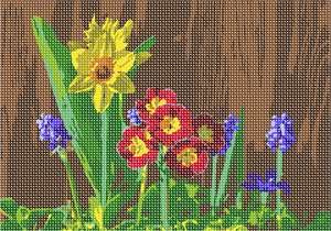 Grow a garden in time for spring