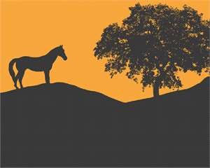 image of Horse Tree Silhouette