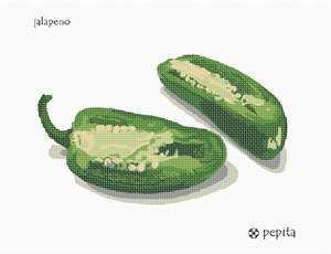 A pair of hot green peppers. The chili pepper, from Nahuatl chīlli, is the fruit of plants from the genus Capsicum which are members of the nightshade family, Solanaceae. Chili peppers are widely used in many cuisines as a spice to add heat to dishes.