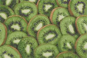 image of Kiwi Collage