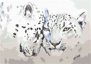 Pair of leopards in watercolor