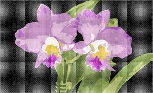 image of Lilac Orchids