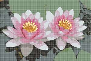 image of Twin Lilies