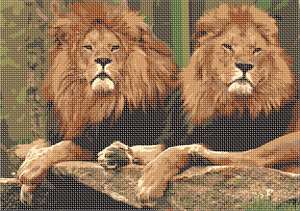image of Pair Of Lions