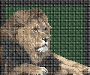 image of Lion Framed