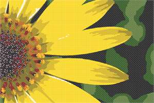 Closeup of bright yellow flower petals. Flowers and floral design are among the most popular needlepoint designs. People have been stitching flowers and floral motifs for hundreds of years.  Flowers are bright and pleasant, and most have underlying meanings to them.