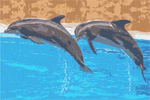 image of Pair Of Dolphins