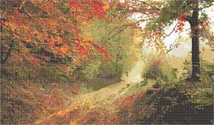 image of Path In The Fall