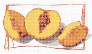 image of Peach Cut Up