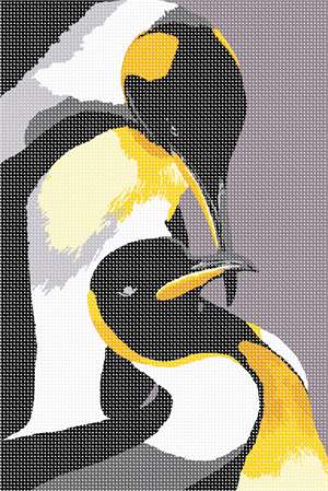 image of Penguin Pair