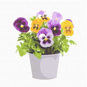 image of Pot Of Pansies