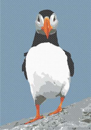 image of Puffin