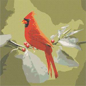 image of Red Cardinal