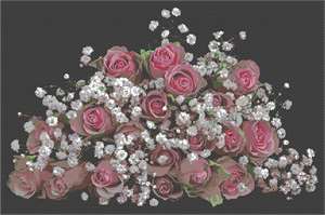 A bouquet of roses and baby's breath