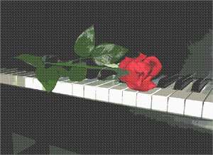 image of Rose On Piano