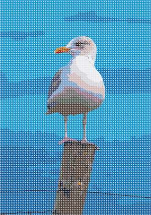 image of Seagull Post