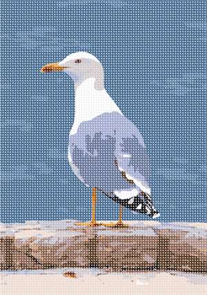 image of Seagull Watch