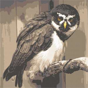 image of Spectacled Owl