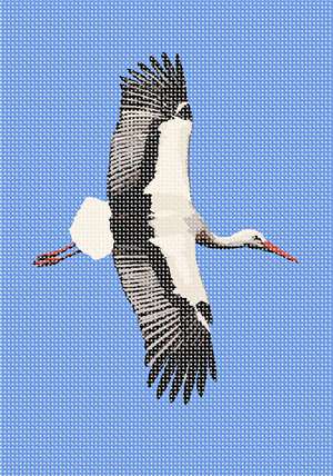 image of Stork Flight