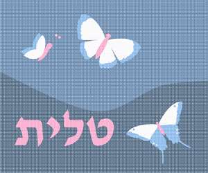 image of Tallit Butterflies Dove Blue