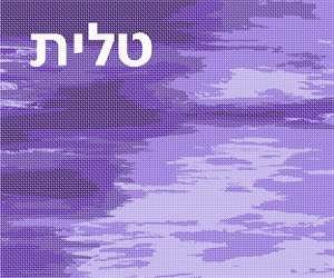 image of Tallit Horizon Purples